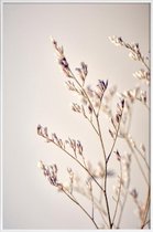 JUNIQE - Poster in kunststof lijst Purple Buds -20x30 /Bruin & Ivoor