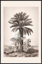 JUNIQE - Poster in kunststof lijst Sago Palm -40x60 /Grijs & Ivoor