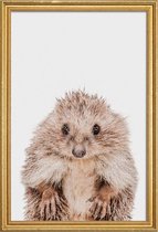 JUNIQE - Poster met houten lijst Hedgehog -30x45 /Bruin