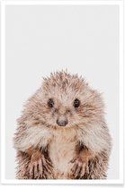JUNIQE - Poster Hedgehog -13x18 /Bruin