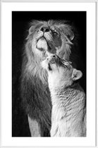 JUNIQE - Poster in kunststof lijst Verliefde leeuwen - zwart-wit foto