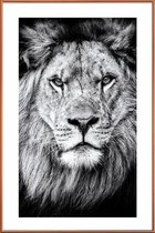JUNIQE - Poster met kunststof lijst Leeuwenfoto -20x30 /Wit & Zwart