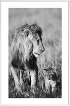 JUNIQE - Poster in kunststof lijst Lion Teaching His Cub -60x90 /Grijs