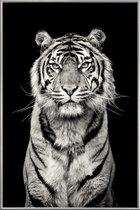 JUNIQE - Poster met kunststof lijst Head of the Pack -60x90 /Grijs &