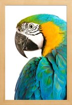 JUNIQE - Poster met houten lijst Papegaaienfoto -13x18 /Turkoois & Wit