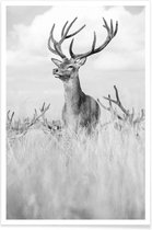JUNIQE - Poster Stag Pride by Monika S. Jakubowska -40x60 /Grijs & Wit
