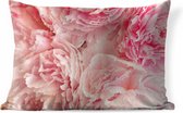 Buitenkussens - Tuin - Bovenaanzicht van een bos roze pioenrozen - 50x30 cm