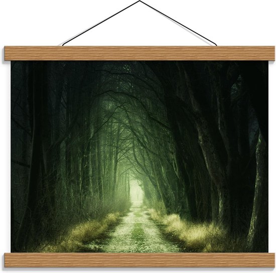 Schoolplaat – Licht Pad in Donker Bos - 40x30cm Foto op Textielposter (Wanddecoratie op Schoolplaat)
