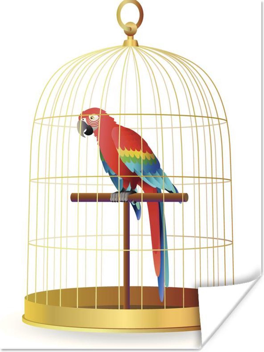 Poster een rode papegaai in een kooi - 120x160 cm XXL | bol.com