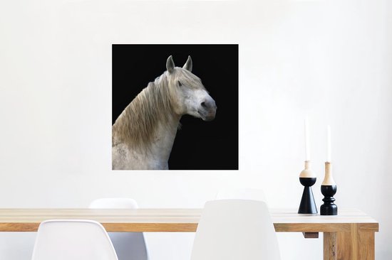 Poster Petit poney noir 