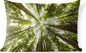Coussins d'extérieur - Jardin - Grands arbres verts dans la jungle - 60x40 cm