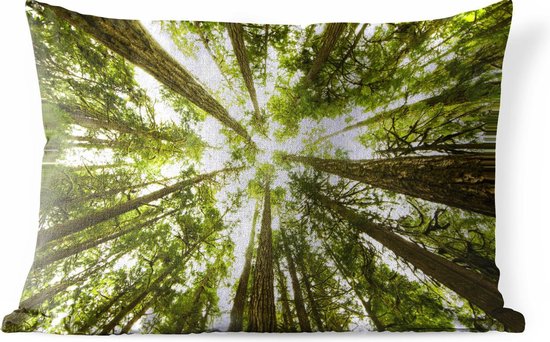 Buitenkussens - Tuin - Hoge groene bomen in jungle - 60x40 cm