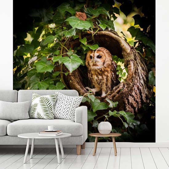 Papier peint vinyle - Un hibou fauve dans un tronc d'arbre largeur 300 cm x hauteur 300 cm - Tirage photo sur papier peint (disponible en 7 tailles)