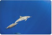 Muismat Dolfijn - Zwemmende dolfijnen onderwater foto muismat rubber - 27x18 cm - Muismat met foto