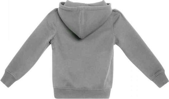 Mister Tee NASA NASA Kinder hoodie trui Kids 146 152 Grijs bol