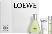 Loewe Agua De Loewe Lote 3 Pcs