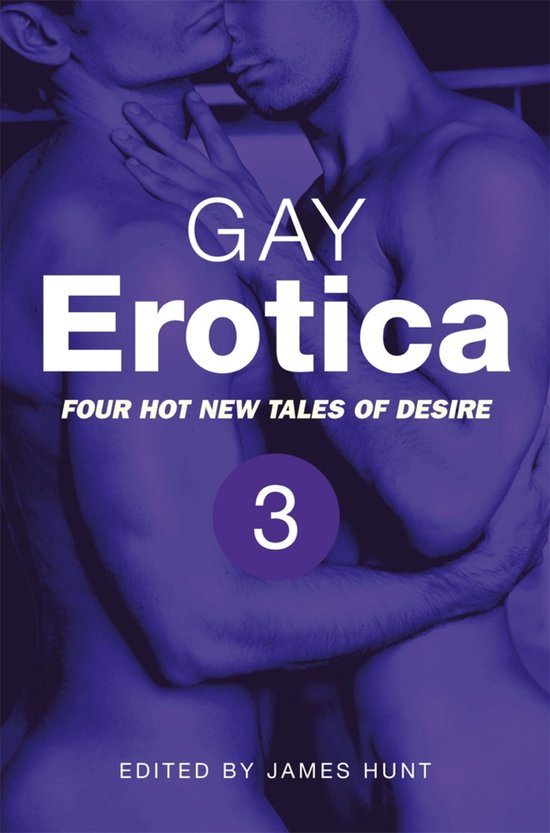 Gay Erotica, Volume 3 - cover