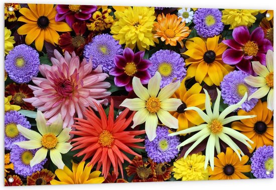 Tuinposter – Verschillende Kleuren/Soorten Bloemen - 120x80cm Foto op Tuinposter  (wanddecoratie voor buiten en binnen)