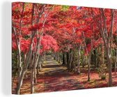 Peintures sur toile - Arbres rouges au Japon - 150x100 cm - Décoration murale