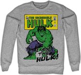 Marvel The Hulk Sweater/trui -XL- I Am The Hulk Grijs