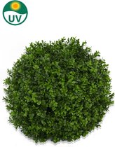 KunstBuxus bal 50 cm zonder stam UV