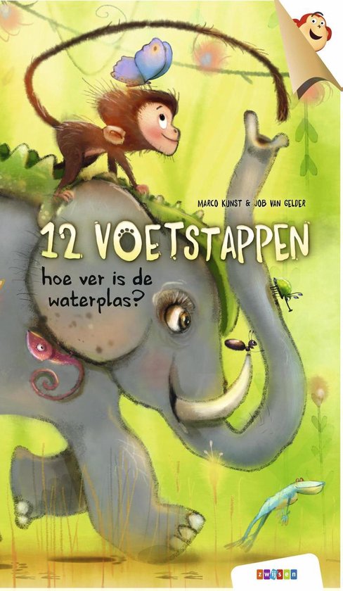Semsom boeken - 12 voetstappen? - cover