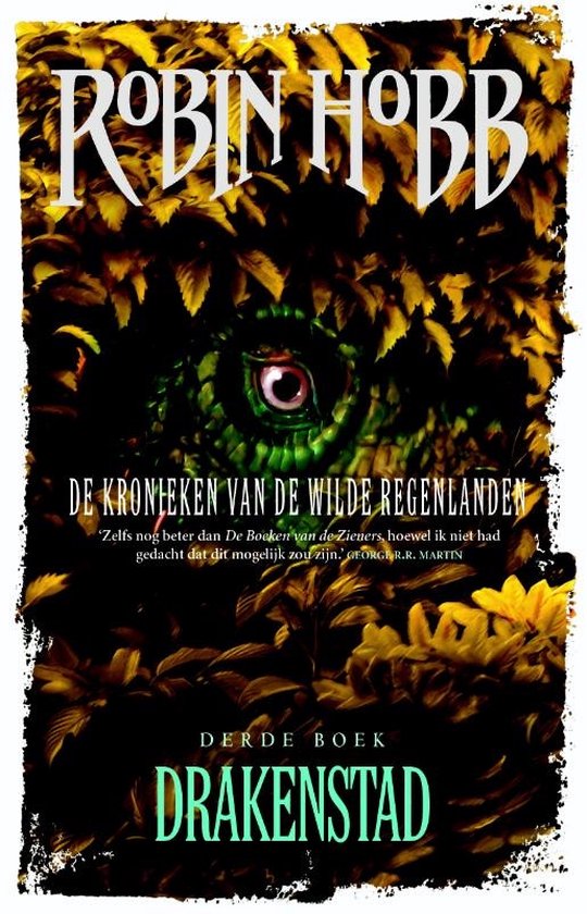 De kronieken van de wilde regenlanden 3 - Drakenstad - cover