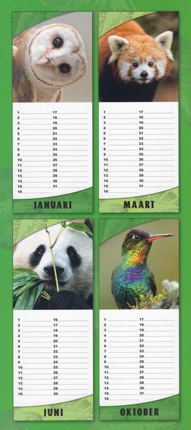 Dieren In De Vrije Natuur - Verjaardagskalender 13 X 33 cm