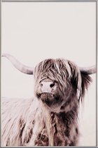 JUNIQE - Poster met kunststof lijst Highland Cattle Frida Crème -60x90