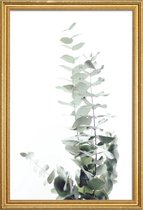 JUNIQE - Poster met houten lijst Eucalyptus foto -30x45 /Groen & Wit