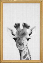 JUNIQE - Poster met houten lijst Giraffe - monochrome foto -13x18