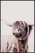 JUNIQE - Poster in kunststof lijst Highland Cattle Frida Crème -40x60