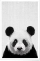 JUNIQE - Poster Panda zwart-wit foto -20x30 /Grijs & Wit