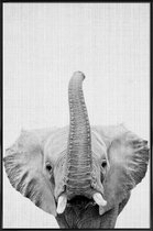 JUNIQE - Poster in kunststof lijst Olifant zwart-wit foto -20x30 /Wit