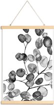 JUNIQE - Posterhanger Eucalyptus waterverf zwart-wit -40x60 /Grijs &