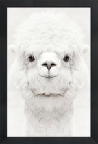 JUNIQE - Poster in houten lijst Lachende Alpaca -40x60 /Wit