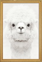 JUNIQE - Poster met houten lijst Smiling Alpaca -20x30 /Wit