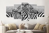 Schilderij - Zebra liefde in zwart en wit, 5 luik, 200x100cm