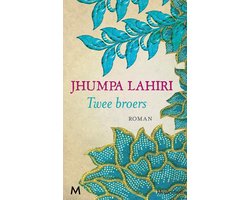 Omslag van Twee broers