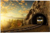 Acrylglas - Trein door Tunnel - 60x40cm Foto op Acrylglas (Met Ophangsysteem)