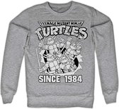 Teenage Mutant Ninja Turtles - Distressed Since 1984 Sweater/trui - XL - Grijs