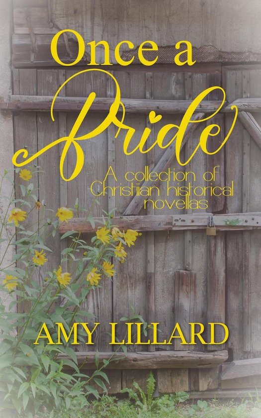 Once a Bride - cover