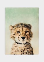 Poster Baby Cheetah - Dibond - Meerdere Afmetingen & Prijzen | Wanddecoratie - Interieur - Art - Wonen - Schilderij - Kunst