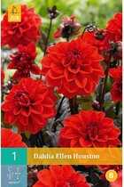 X 1 DAHLIA ELLEN HOUSTON I