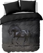 Y-NOT - Paard Black Stallion - Dekbedovertrek - Microvezel - Lits-jumeaux - 240x200/220 cm - Zwart