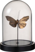 J-Line Decoratie Stolp Vlinders Ovaal Glas Zwart Goud S