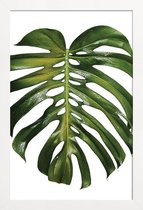 JUNIQE - Poster met houten lijst Monstera foto -13x18 /Groen & Wit