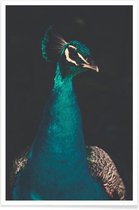 JUNIQE - Poster Peacock And Proud -20x30 /Ivoor & Wit