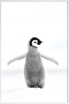 JUNIQE - Poster met kunststof lijst Lone Penguin -13x18 /Grijs & Wit