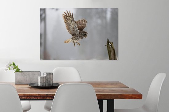 Tawny Owl atterrira sur un poteau Toile 90x60 cm - Tirage photo sur toile (Décoration murale salon / chambre)